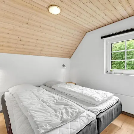 In Ulfborg With Kitchen Ferienhaus